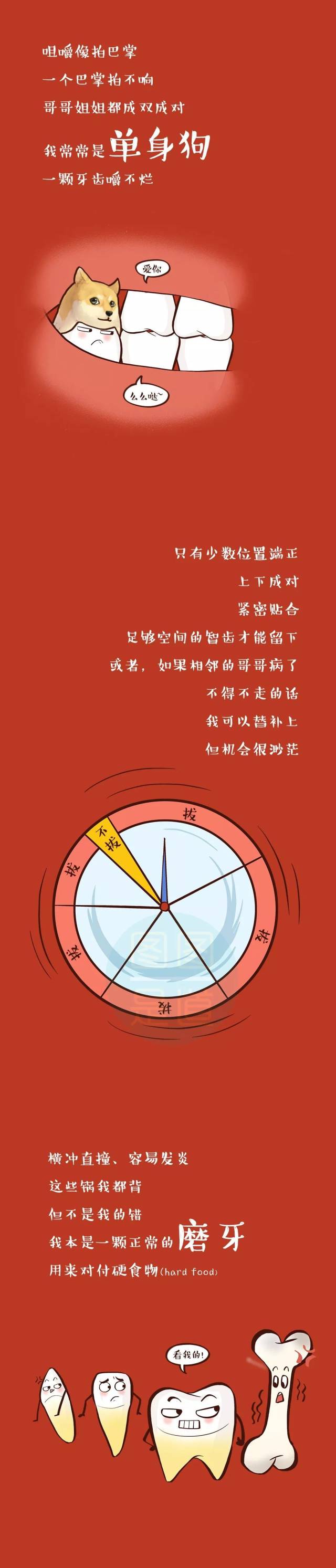 智齿|这儿有一颗智齿要发言(炎)
