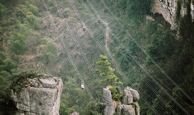 安全|网红景区女子速滑索道高处坠亡，最新通报来了！涉事景区曾多次被罚款，2年前发生过惊心一幕