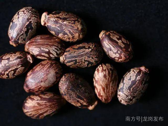 中国|家门口的福利！龙岗区8个重大文体设施建设启动｜早安，龙岗