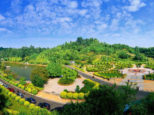 争当先行先试标兵，三水将全力打造全省乡村全域振兴示范样本 | 区委全会