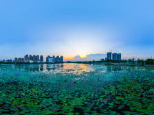 林均恒：对标一流打造新城，树立“城市三水”新标杆｜区委全会