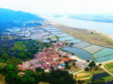 张宏标：为开创城市三水高质量发展新局面展现大塘担当 | 区委全会