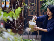 云朵：停在百年古村北山的“一朵云”