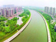 李学坚：当好三水建设广佛极核重要节点城市的主力先锋｜区委全会