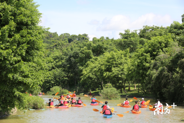 志愿者|寻找中山最美背影|保护母亲河，争当“河小青”