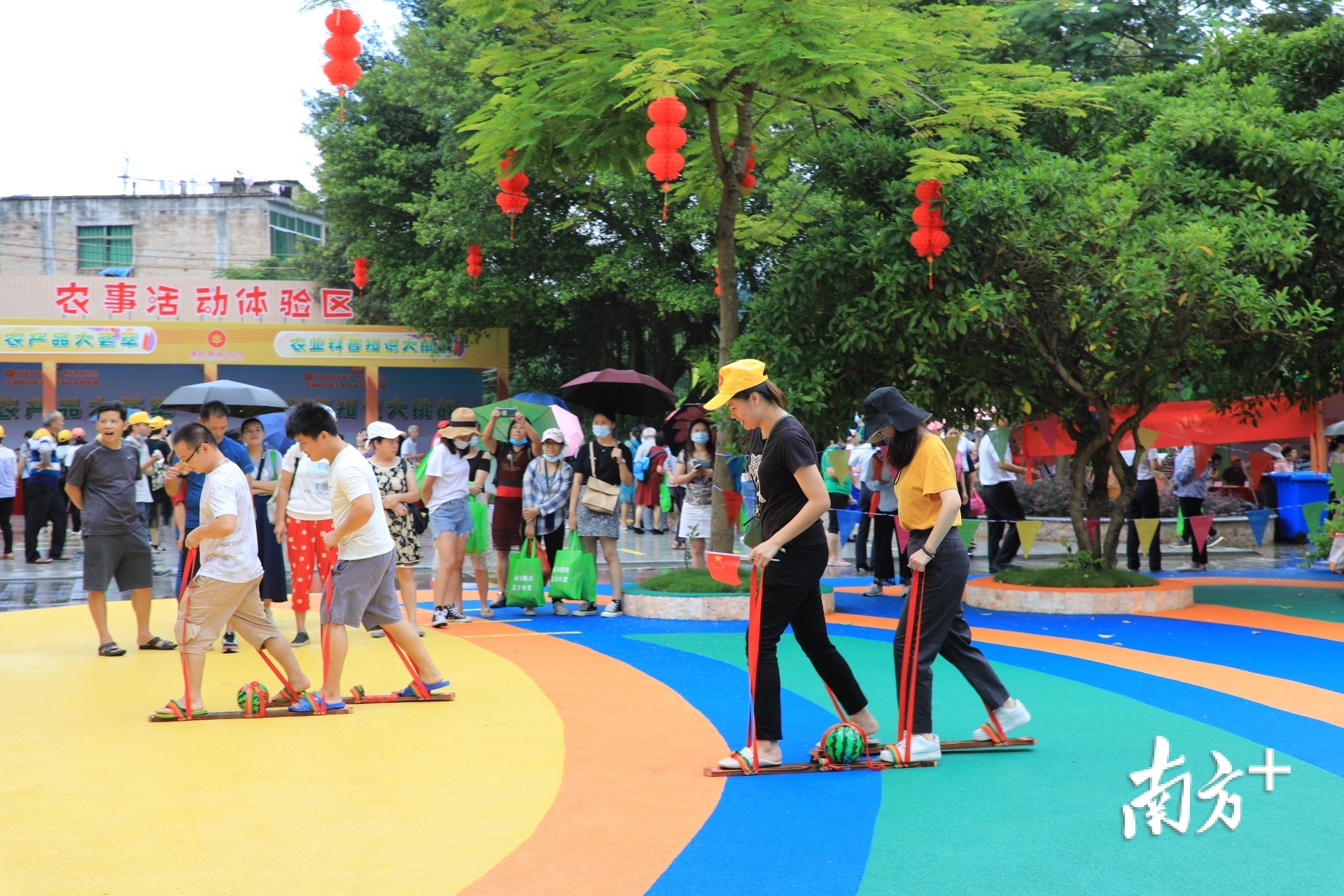 市民积极参与农事体验活动。