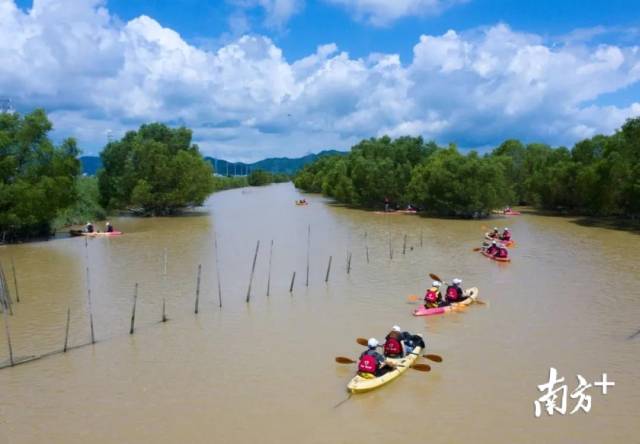 志愿者|寻找中山最美背影|保护母亲河，争当“河小青”