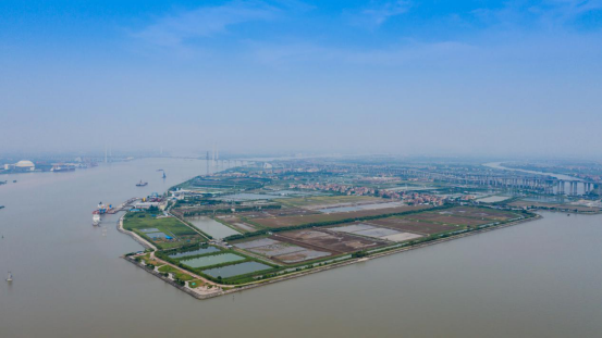 番禺海鸥岛仍然保留着珠三角罕有的古老大沙田风景。