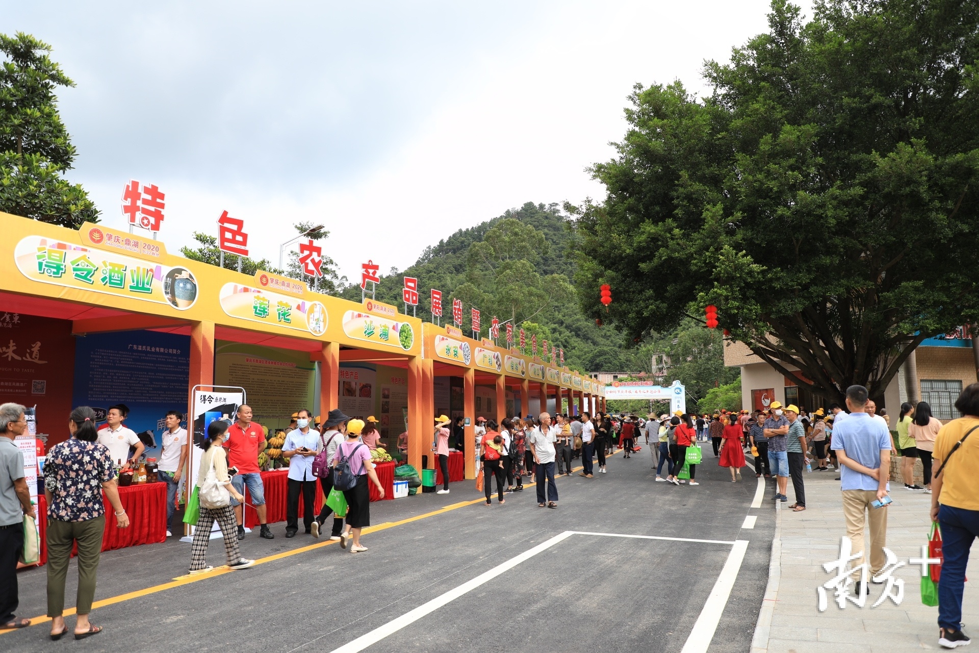 会场设置特色农产展销暨农家美食展示区,集中对鼎湖绿色、优质、特色、品牌农产品进行展示展销。 会场设置特色农产展销暨农家美食展示区,集中对鼎湖绿色、优质、特色、品牌农产品进行展示展销。