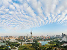 对标最高最优谋发展，打造佛山首善之区｜禅城区委全会