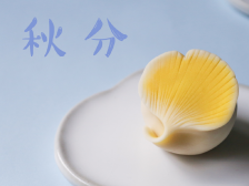 四季餐桌〡满目银杏，平分秋色