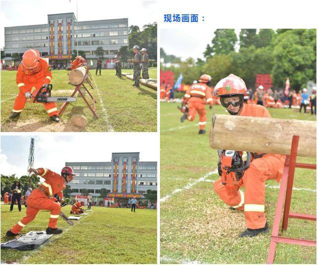 森林|喜报！省首届森林消防业务技能大比武，云浮代表队荣获佳绩！