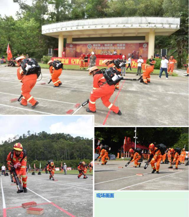 森林|喜报！省首届森林消防业务技能大比武，云浮代表队荣获佳绩！