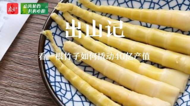 视频|出山记：一根撬动40亿产值的竹子