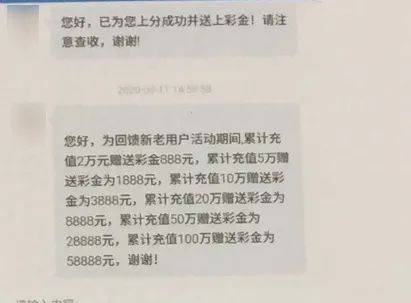 女士|赔了夫人又折兵