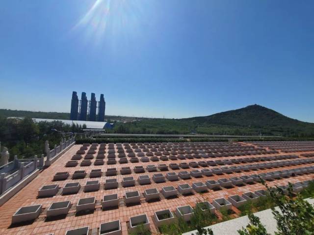 墓地|与家一墙之隔建起公墓群，半夜常被哭声吵醒！更严重的是……