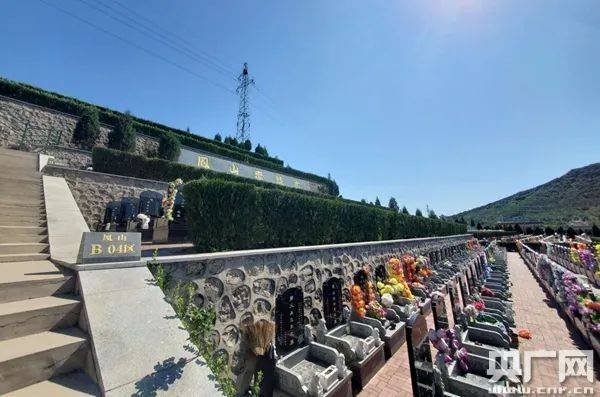 墓地|与家一墙之隔建起公墓群，半夜常被哭声吵醒！更严重的是……