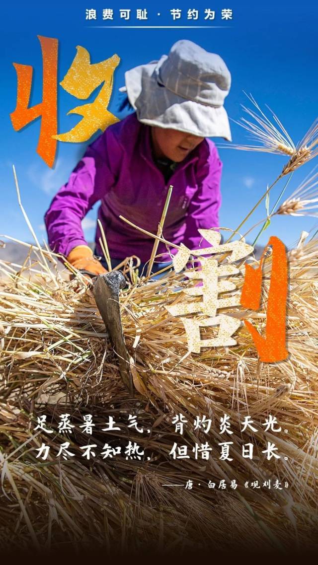 诗词|从诗词中汲取勤俭节约的智慧