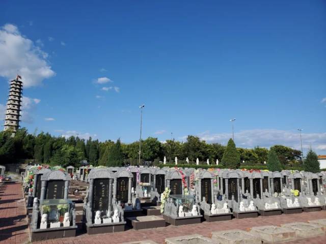 墓地|与家一墙之隔建起公墓群，半夜常被哭声吵醒！更严重的是……