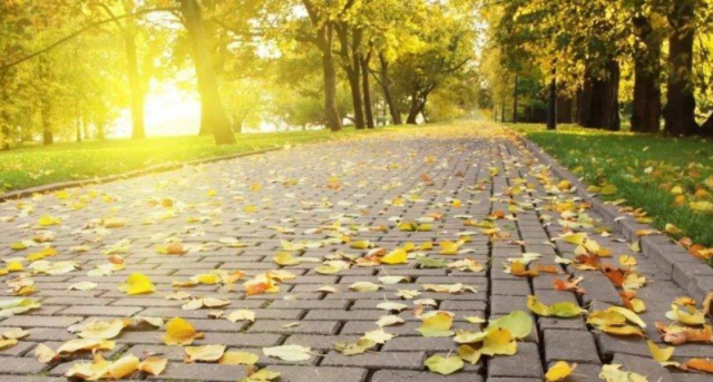 秋分|想安然度秋?收好这份养生指南~