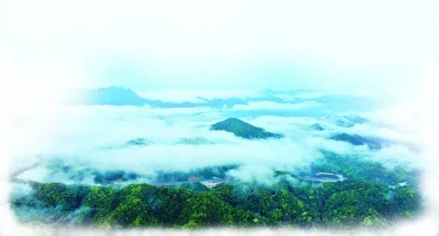 昆山|【龙门乡村】竹海映云涛 诗意栖息地