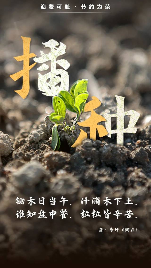 诗词|从诗词中汲取勤俭节约的智慧