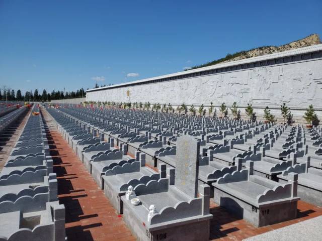 墓地|与家一墙之隔建起公墓群，半夜常被哭声吵醒！更严重的是……