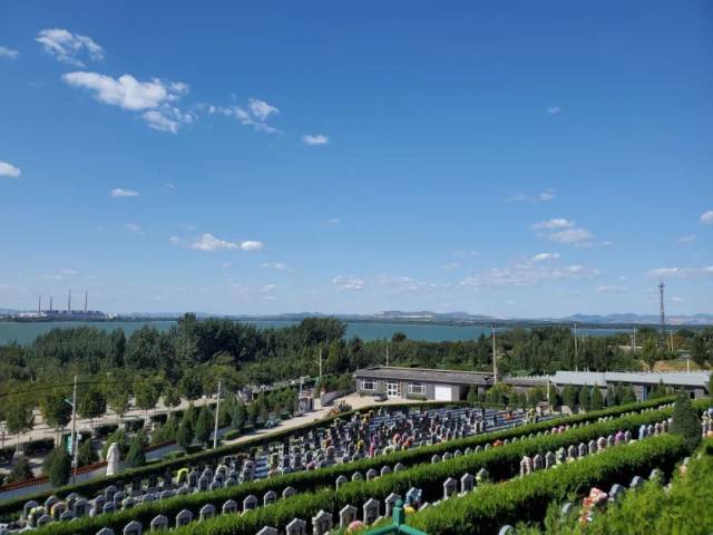 墓地|与家一墙之隔建起公墓群，半夜常被哭声吵醒！更严重的是……