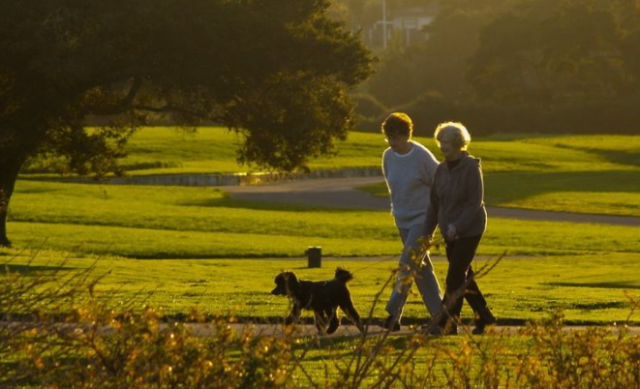 秋分|想安然度秋？收好这份养生指南~