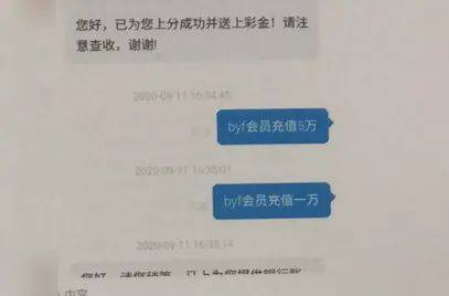 女士|赔了夫人又折兵