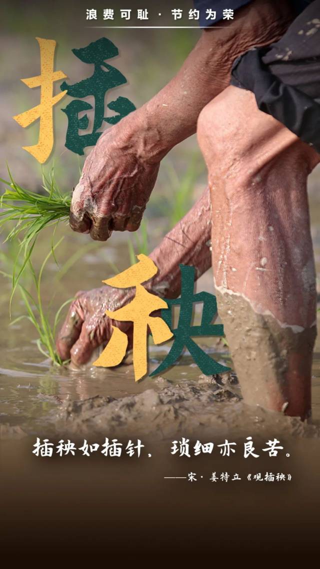 诗词|从诗词中汲取勤俭节约的智慧