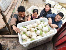 甘洛火种：大山深处的“新四军”｜山海协作 佛山战贫