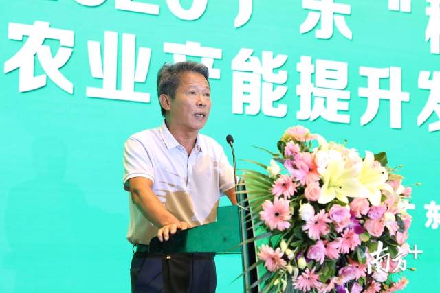 种植|规划示范点、“四个化”工程......“稻-稻-薯”效益翻倍