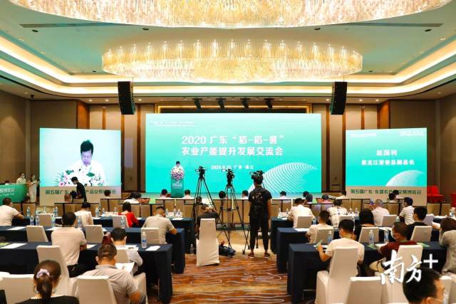 种植|规划示范点、“四个化”工程......“稻-稻-薯”效益翻倍