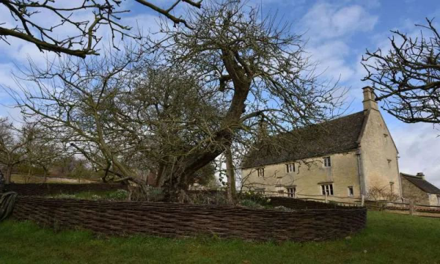 叙事|我们讲述的故事，与经济有何关系？丨21读书