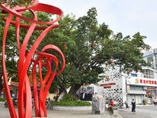 300亩文化公园，每镇街至少一个！顺德要让市民出门见公园｜区委全会