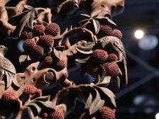 不辞长作岭南人，这个假期来看荔枝的N种姿态