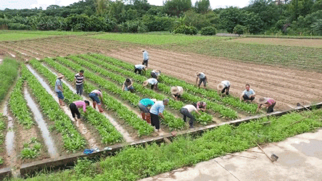 脱贫|换下军装再征战！他用青春奏响脱贫攻坚凯歌