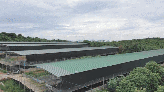 脱贫|换下军装再征战！他用青春奏响脱贫攻坚凯歌