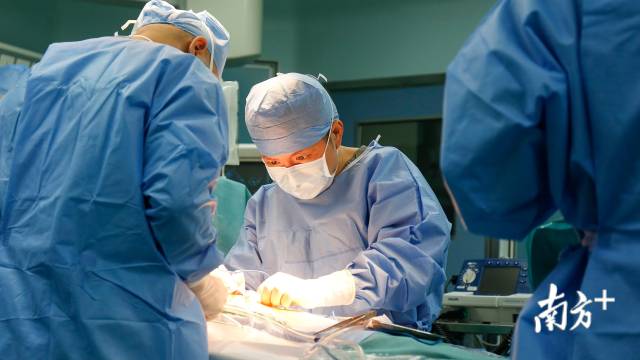 心脏|婴儿换心奇迹般缩小，留下一个医学谜题｜深读