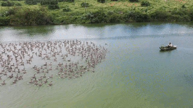 脱贫|换下军装再征战！他用青春奏响脱贫攻坚凯歌