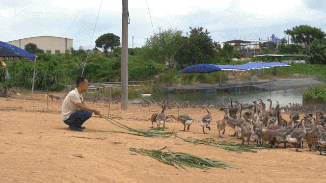 脱贫|换下军装再征战！他用青春奏响脱贫攻坚凯歌