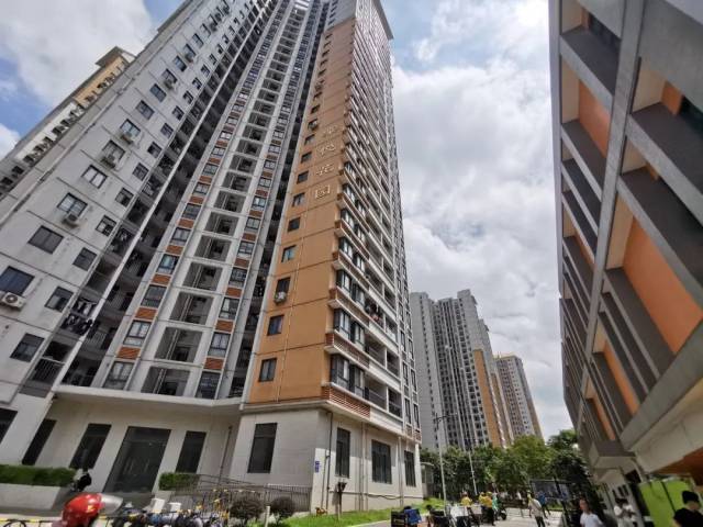 岳林敏|广漂15年，她在广州安了家