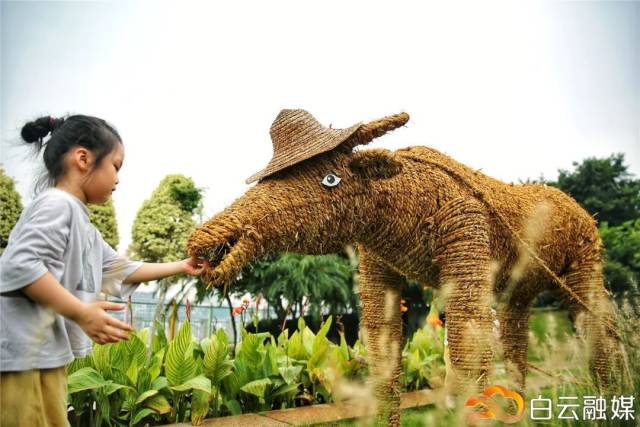 稻草人|遇“稻”幸福！首届稻草人文化节开幕，一起来开启童趣之旅~