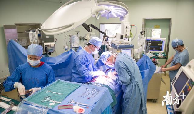 心脏|婴儿换心奇迹般缩小，留下一个医学谜题｜深读