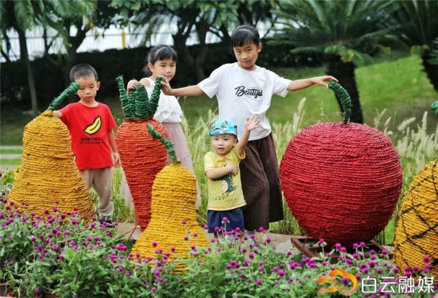 稻草人|遇“稻”幸福！首届稻草人文化节开幕，一起来开启童趣之旅~