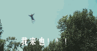 骨折|【提醒】假期儿童高发！处理不当严重可致残，游乐时千万要注意！