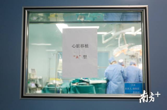 心脏|婴儿换心奇迹般缩小，留下一个医学谜题｜深读