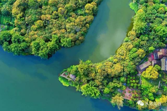 重要|点亮千年古渡！昔日从化最繁华地区“光彩”重现！