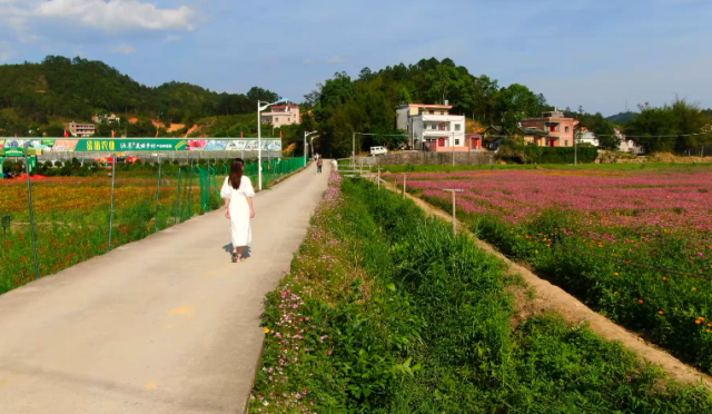 龙川|【美丽龙川 绿色崛起】补齐“三农”领域短板，夯实美丽乡村基础！